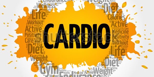 What Is Cardiovascular Training? What Is Cardiovascular Training?