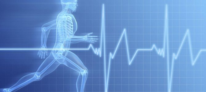 How Does Exercise Affect Your Heart?