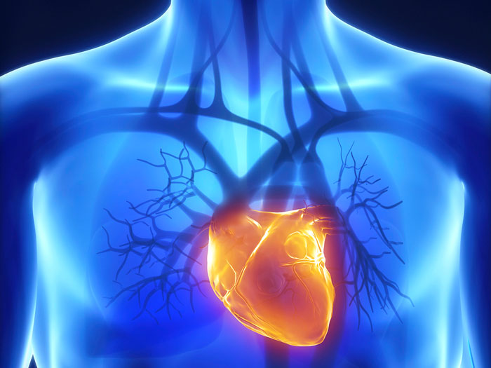Cardio Revolution: Melding an Old Protocol with a New Tool – Part I