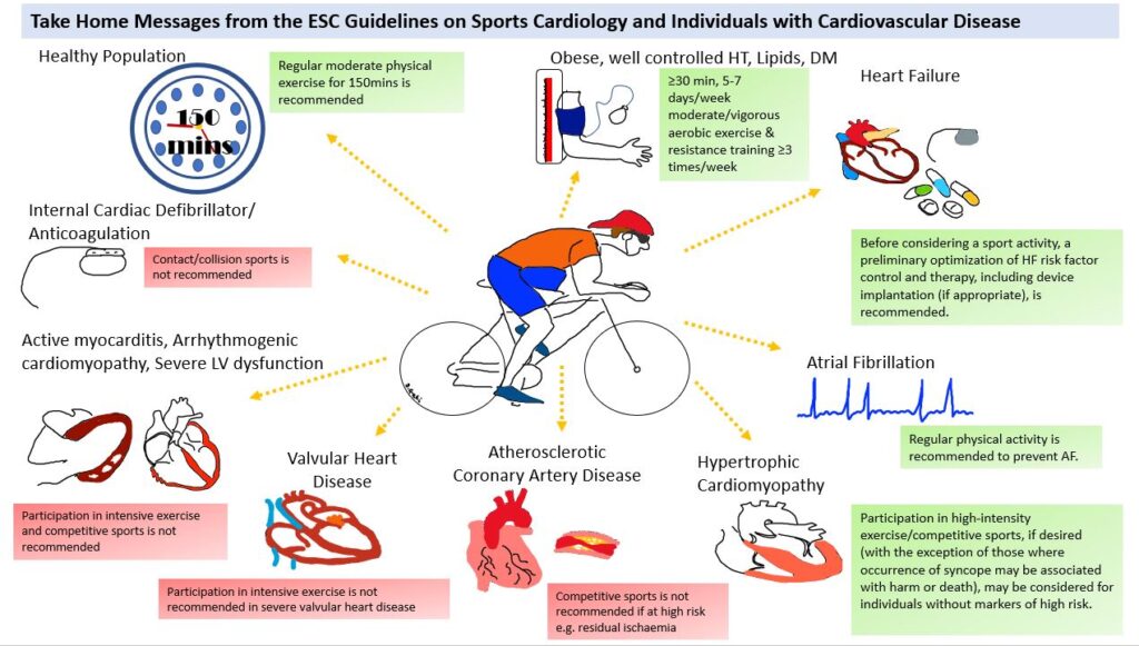 2020 ESC Guidelines on Sports Cardiology and Exercise in Patients with Cardiovascular Disease: Commentary by Sabiha Gati and Thijs Eijsvogels, Sports Cardiology and Exercise Section