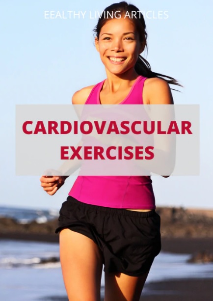 Cardiovascular Exercises